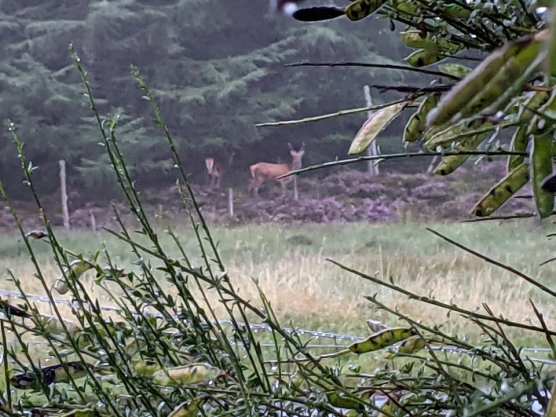 236536216_352894266544576_1138584221228553411_n